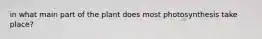in what main part of the plant does most photosynthesis take place?