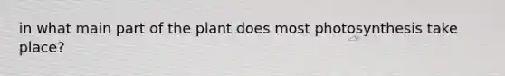 in what main part of the plant does most photosynthesis take place?