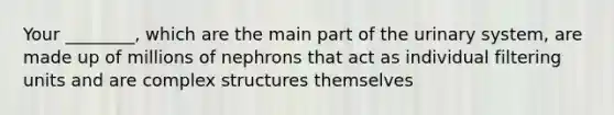 Your ________, which are the main part of the urinary system, are made up of millions of nephrons that act as individual filtering units and are complex structures themselves