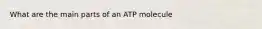 What are the main parts of an ATP molecule