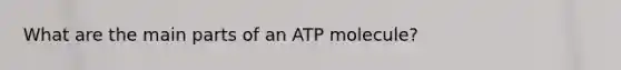 What are the main parts of an ATP molecule?