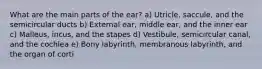 What are the main parts of the ear? a) Utricle, saccule, and the semicircular ducts b) External ear, middle ear, and the inner ear c) Malleus, incus, and the stapes d) Vestibule, semicircular canal, and the cochlea e) Bony labyrinth, membranous labyrinth, and the organ of corti