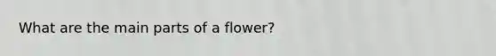 What are the main parts of a flower?