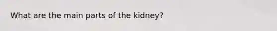 What are the main parts of the kidney?