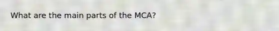 What are the main parts of the MCA?