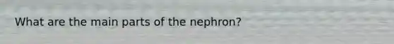 What are the main parts of the nephron?