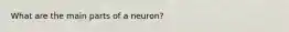 What are the main parts of a neuron?