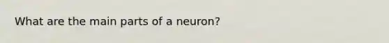 What are the main parts of a neuron?