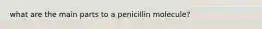 what are the main parts to a penicillin molecule?