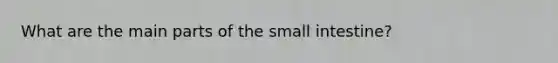 What are the main parts of <a href='https://www.questionai.com/knowledge/kt623fh5xn-the-small-intestine' class='anchor-knowledge'>the small intestine</a>?