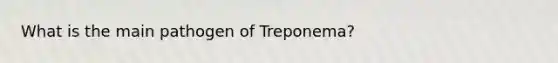 What is the main pathogen of Treponema?