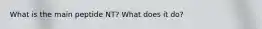 What is the main peptide NT? What does it do?