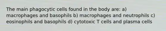 The main phagocytic cells found in the body are: a) macrophages and basophils b) macrophages and neutrophils c) eosinophils and basophils d) cytotoxic T cells and plasma cells