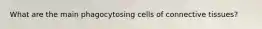 What are the main phagocytosing cells of connective tissues?
