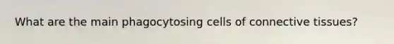 What are the main phagocytosing cells of connective tissues?