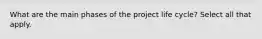 What are the main phases of the project life cycle? Select all that apply.