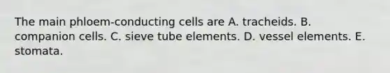 The main phloem-conducting cells are A. tracheids. B. companion cells. C. sieve tube elements. D. vessel elements. E. stomata.