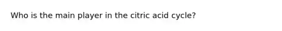 Who is the main player in the citric acid cycle?