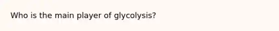 Who is the main player of glycolysis?