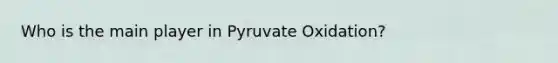 Who is the main player in Pyruvate Oxidation?