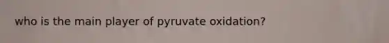 who is the main player of pyruvate oxidation?