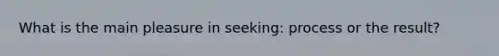 What is the main pleasure in seeking: process or the result?