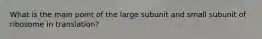 What is the main point of the large subunit and small subunit of ribosome in translation?