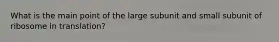 What is the main point of the large subunit and small subunit of ribosome in translation?