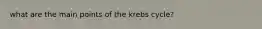 what are the main points of the krebs cycle?