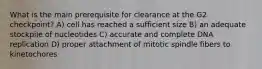 What is the main prerequisite for clearance at the G2 checkpoint? A) cell has reached a sufficient size B) an adequate stockpile of nucleotides C) accurate and complete DNA replication D) proper attachment of mitotic spindle fibers to kinetochores