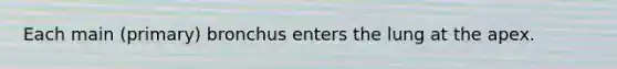 Each main (primary) bronchus enters the lung at the apex.