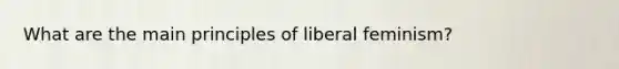 What are the main principles of liberal feminism?