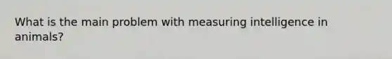 What is the main problem with measuring intelligence in animals?