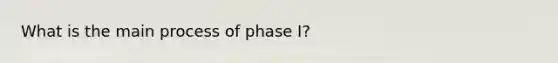 What is the main process of phase I?