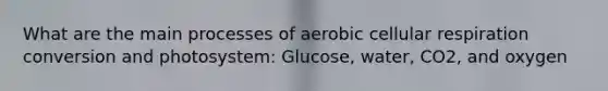 What are the main processes of aerobic cellular respiration conversion and photosystem: Glucose, water, CO2, and oxygen