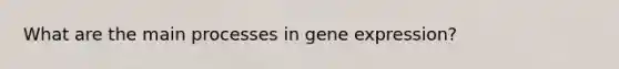 What are the main processes in gene expression?