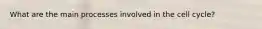 What are the main processes involved in the cell cycle?