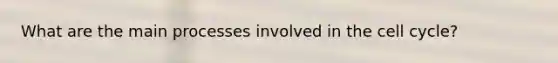 What are the main processes involved in the cell cycle?