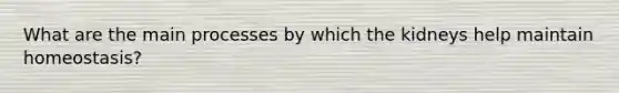 What are the main processes by which the kidneys help maintain homeostasis?