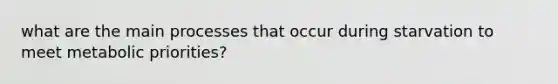 what are the main processes that occur during starvation to meet metabolic priorities?