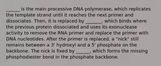 ______ is the main processive DNA polymerase, which replicates the template strand until it reaches the next primer and dissociates. Then, it is replaced by _______, which binds where the previous protein dissociated and uses its exonuclease activity to remove the RNA primer and replace the primer with DNA nucleotides. After the primer is replaced, a "nick" still remains between a 3' hydroxyl and a 5' phosphate on the backbone. The nick is fixed by ______, which forms the missing phosphodiester bond in the phosphate backbone.