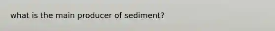 what is the main producer of sediment?