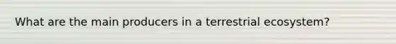 What are the main producers in a terrestrial ecosystem?