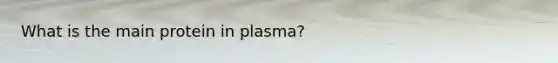 What is the main protein in plasma?