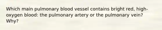 Which main pulmonary blood vessel contains bright red, high-oxygen blood: the pulmonary artery or the pulmonary vein? Why?