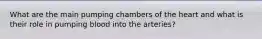 What are the main pumping chambers of the heart and what is their role in pumping blood into the arteries?