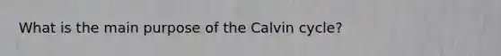 What is the main purpose of the Calvin cycle?