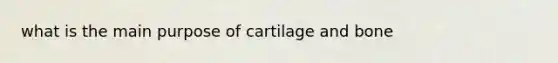 what is the main purpose of cartilage and bone