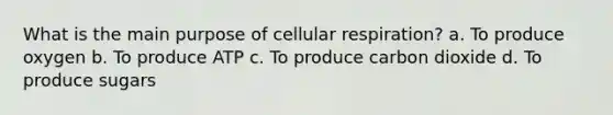 What is the main purpose of <a href='https://www.questionai.com/knowledge/k1IqNYBAJw-cellular-respiration' class='anchor-knowledge'>cellular respiration</a>? a. To produce oxygen b. To produce ATP c. To produce carbon dioxide d. To produce sugars