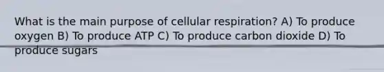 What is the main purpose of cellular respiration? A) To produce oxygen B) To produce ATP C) To produce carbon dioxide D) To produce sugars